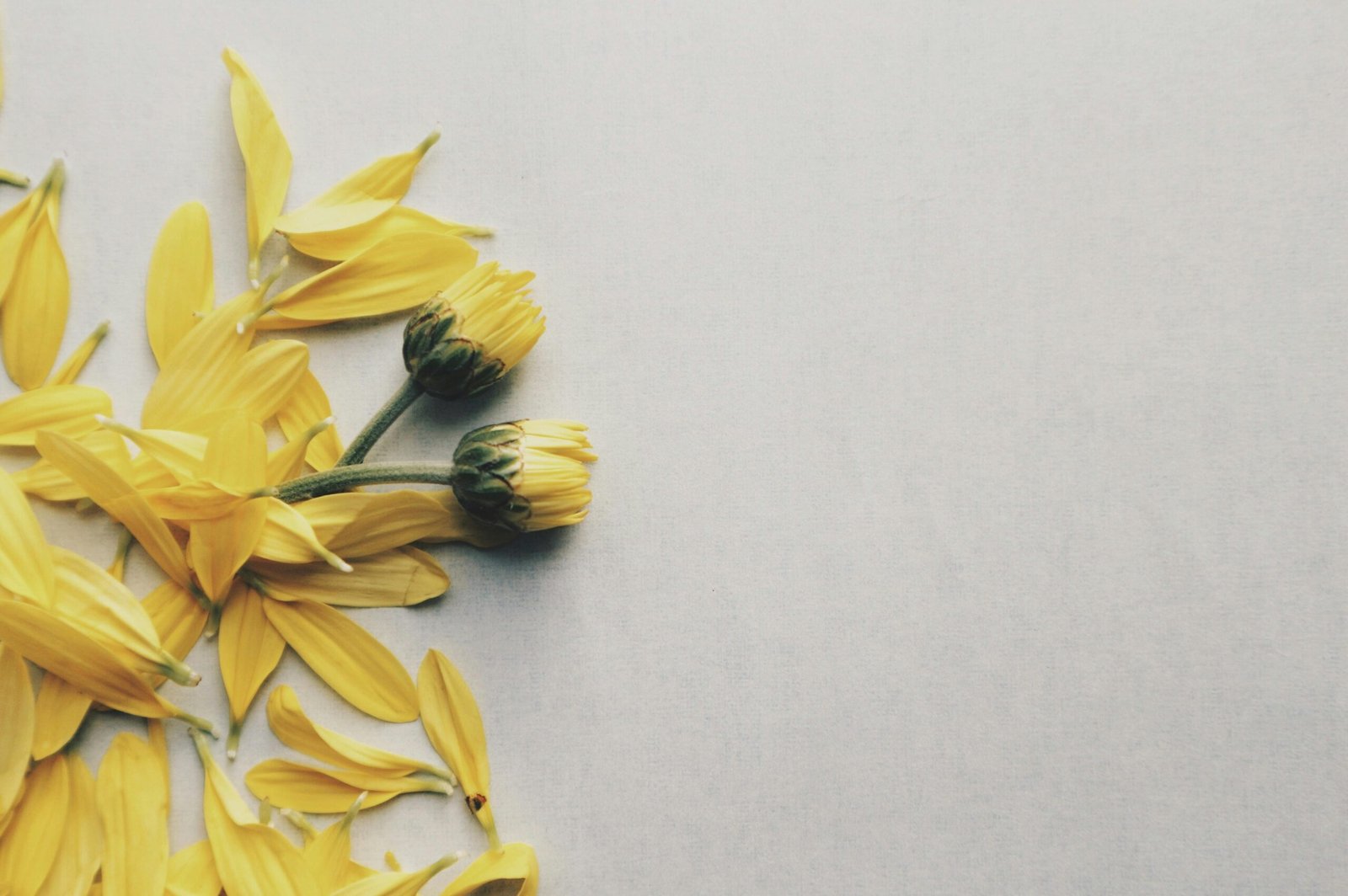 healthy boundaries and self-care in relationships